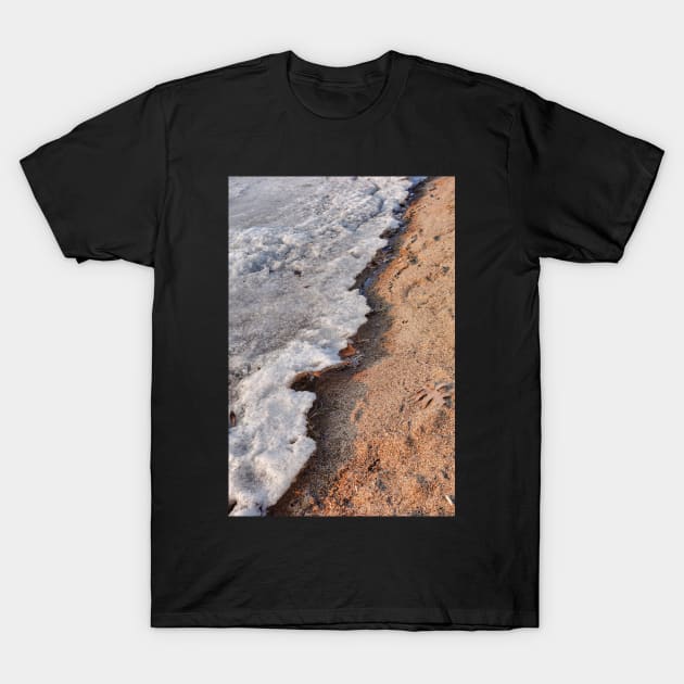 Winter Receding on Gull Lake T-Shirt by bobmeyers